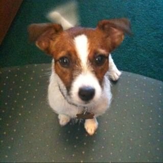 Debra H.'s profile image
