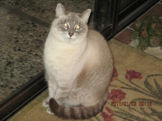 Barbara B.'s profile image
