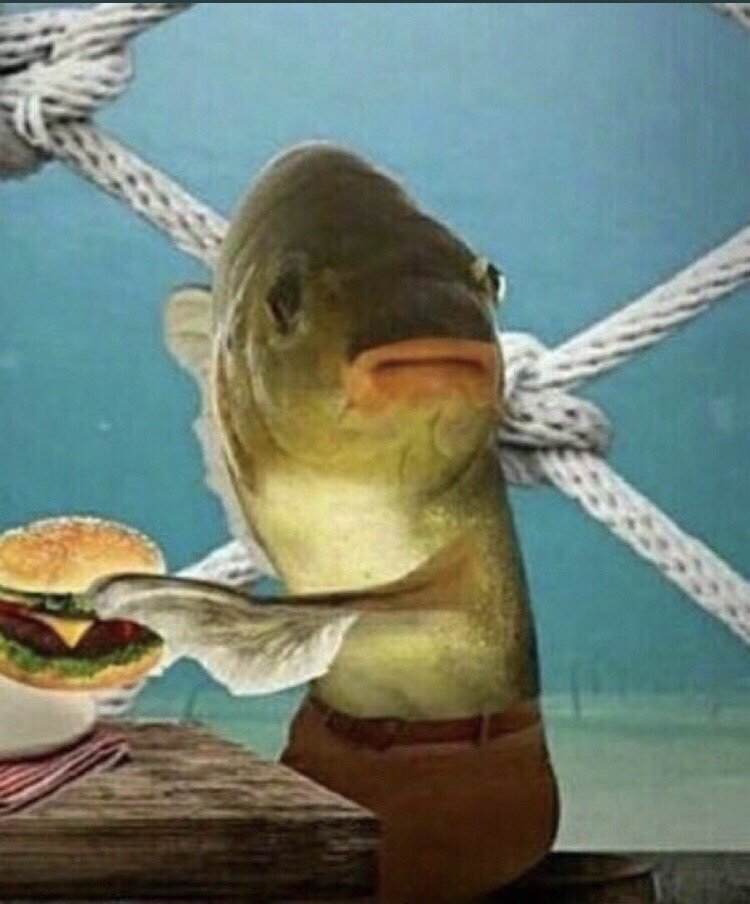 Lil P.'s profile image