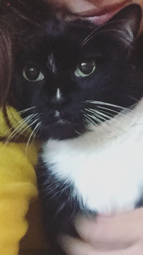 Ginger H.'s profile image