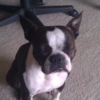 erok m.'s profile image