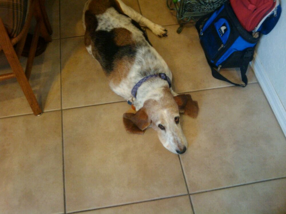 Scott P.'s profile image