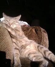 Adria F.'s profile image