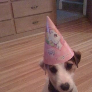 Matt R.'s profile image