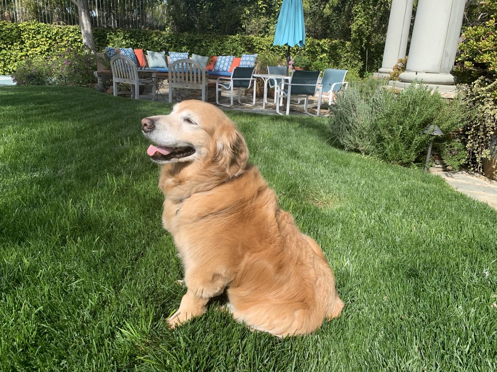 Susan C.'s profile image
