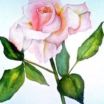 Joanne R.'s profile image