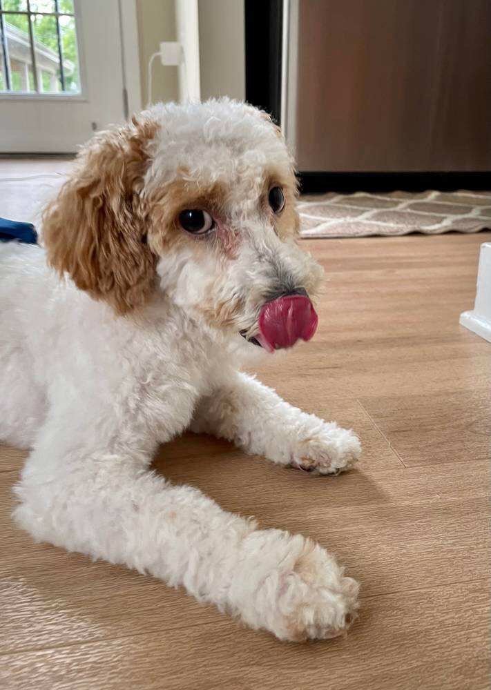 Mia M.'s profile image