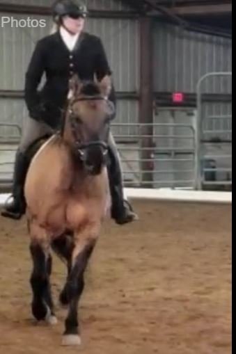 Cat N.'s profile image