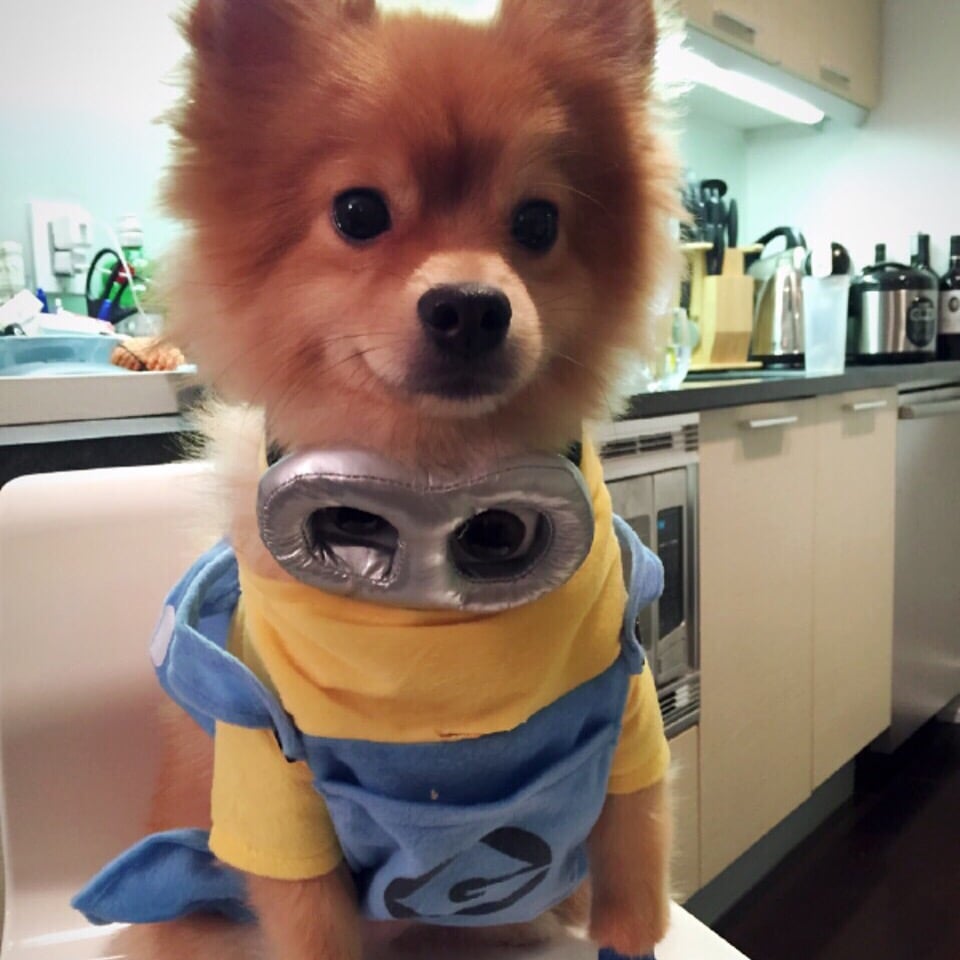 Wendy L.'s profile image