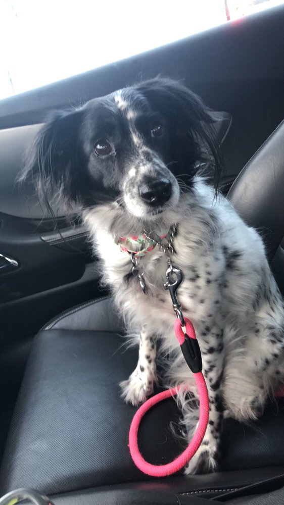 Lulu H.'s profile image