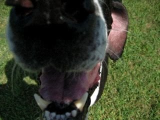 Binky M.'s profile image