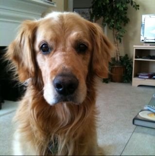 Shirley W.'s profile image