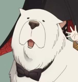 The Secret Y.'s profile image