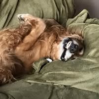Todd Nelson's profile image