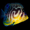 Judith's profile image