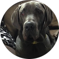 Kim Boltz's Profile Image