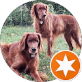 Bo and Spencer's account's Profile Image