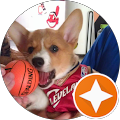 Mike Codding's Profile Image