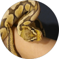 Brenda BPLove's Profile Image