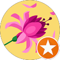 Shandra C Rodgers's Profile Image