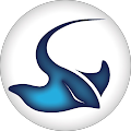 Stingray Branding's Profile Image
