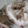 Johnn B.'s profile image