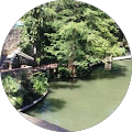 Sandra E's Profile Image
