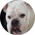 Melanie VanDine's Profile Image