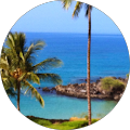 Jennifer Nagel's Profile Image