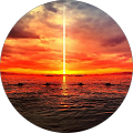 Nick d's Profile Image