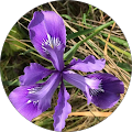 robin moore's Profile Image