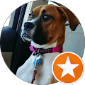 K P's Profile Image