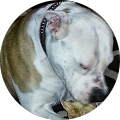 Stephanie Ultsch's Profile Image