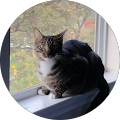 Yvette Macias's Profile Image