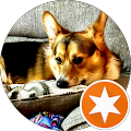 Samantha Broughton's Profile Image