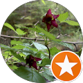 Shawna Sousa's Profile Image