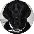 Ted Dziedzic's Profile Image