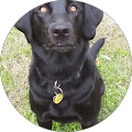 james haley's Profile Image