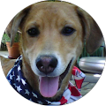 Susan Rizzo's Profile Image