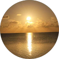 gg's Profile Image