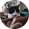 Daniel Weeks's Profile Image
