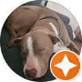 Jennifer Zubrick's Profile Image