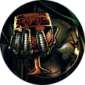 jiub1991's Profile Image