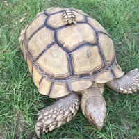 Terry Aguilar's profile image