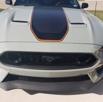 Mustang Mike's profile image
