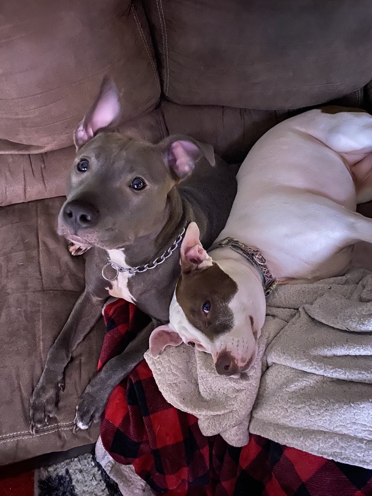 A N.'s profile image