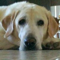 Mike O.'s profile image