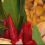 Wayne W.'s profile image