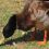 Tatyana A.'s profile image