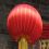L Z.'s profile image